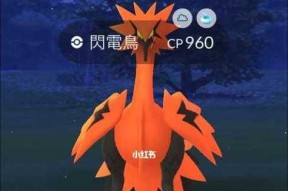 探索闪电鸟（与闪电鸟一起畅游神奇的口袋世界）