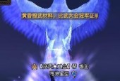 完美世界特效提升方法？特效好的标准是什么？