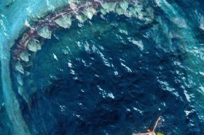 伊甸园的骄傲最新更新内容是什么？深海歌声更新后有哪些变化？