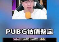 绝地求生ace异色使用方法是什么？如何正确操作？