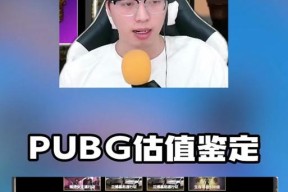 绝地求生ace异色使用方法是什么？如何正确操作？