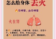 体火的使用技巧是什么？如何在战斗中发挥最大效果？