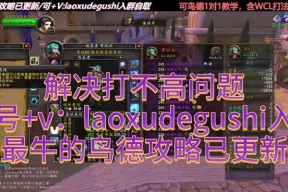 魔兽世界中鸟德如何对抗霍迪尔？