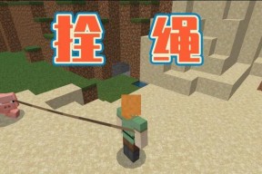 我的世界中如何正确栓绳？