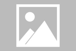 《活体脑细胞》游戏攻略（探索游戏世界）