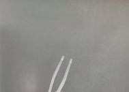 《山海夹子游戏攻略》（掌握夹子用法）