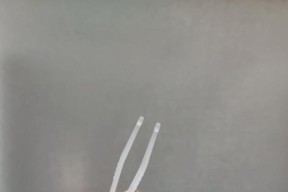 《山海夹子游戏攻略》（掌握夹子用法）
