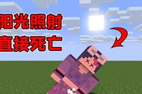 《我的世界》游戏高手盘点（探索游戏世界）