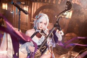 杨玉环春节皮肤多少钱？购买后如何使用？