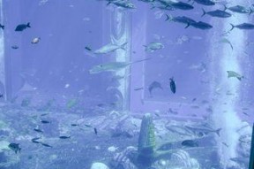 探索文明大爆炸水族馆和剧场的奇妙世界（以游戏为主的虚拟探险之旅）