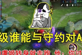 王者荣耀虞姬铭文搭配攻略（打造最强虞姬符文）