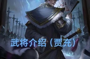 王充在三国杀中的身份是什么？