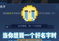 王者荣耀名字重复时如何解决？有无替代方案？