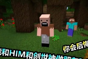 《我的世界》游戏单机命令全解析