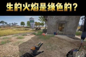 绝地求生火焰显示设置方法是什么？如何调整火焰显示效果？