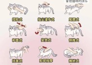 阴阳师中养猫有什么技巧？如何正确照顾式神的猫？