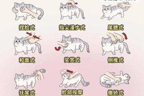 阴阳师中养猫有什么技巧？如何正确照顾式神的猫？