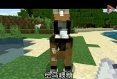 马匹问题在Minecraft中如何解决？