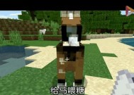 马匹问题在Minecraft中如何解决？