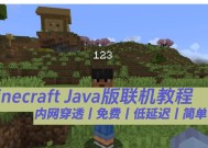 在《我的世界》中如何提高玩家间的互动？