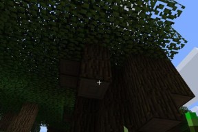 《我的世界》游戏划拳控制器制作攻略（用简单材料DIY划拳控制器）
