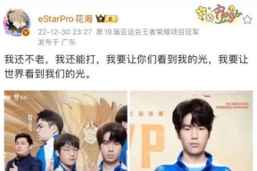 花海退出王者荣耀的原因是什么？