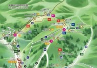 彩虹岛姑姑森林的正确路线是什么？如何到达？