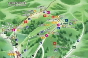 彩虹岛姑姑森林的正确路线是什么？如何到达？