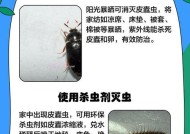 蠹虫在《我的世界》中如何寻找？遇到蠹虫应该怎么办？