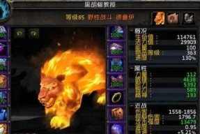橙色拳套在魔兽世界中如何增强属性？