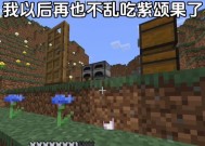 我的世界紫颂果种植方法是什么？