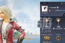 和平精英段位排行揭秘（探索和平精英段位排行榜）