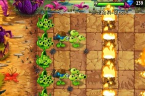 《植物大战僵尸2》海盗第八关教程1星版，轻松通关攻略（1星版攻略分享）