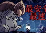 《以空洞骑士送花任务注意事项》（掌握关键步骤）