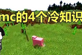 《我的世界》中琥珀制作攻略（探究游戏中琥珀的制作方法及用途）