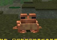 我的世界宠物世界排行榜怎么看？如何提升宠物排名？