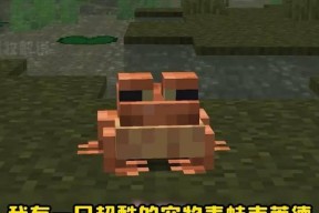 我的世界宠物世界排行榜怎么看？如何提升宠物排名？
