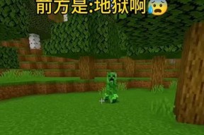 在《我的世界》中如何战胜地狱难度？