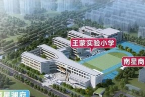 掌控七彩飞龙的游戏攻略（一路领航）