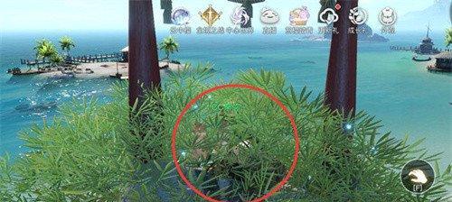 《如何正确画苏澜城星痕棋盘——天谕手游棋盘绘制指南》（掌握关键步骤）  第1张