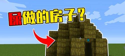《我的世界》游戏中的萝卜种植与利用（从种子到料理）  第1张