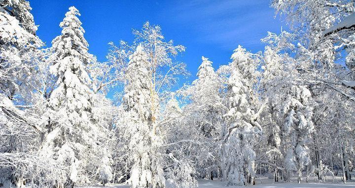 探秘鬼泣巅峰之战雪原场景（揭秘游戏中的壮丽冰雪世界）  第1张