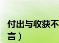 连连看我特快抽，强度不成正比（探讨连连看游戏中速度和强度的关系）  第1张