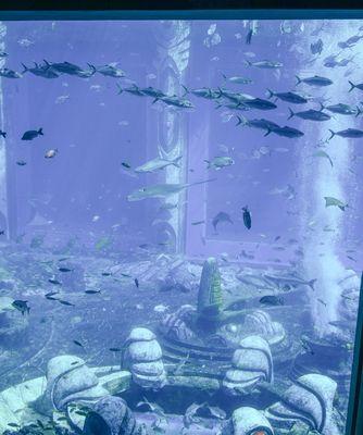 探索文明大爆炸水族馆和剧场的奇妙世界（以游戏为主的虚拟探险之旅）  第1张