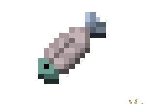 在Minecraft中放置鱼的方法是什么？  第3张