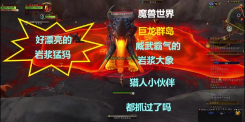 魔兽世界丢失的宝宝如何恢复？  第2张