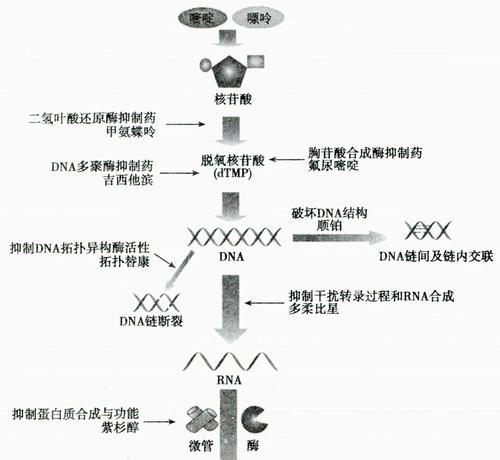 灭镜复活机制是如何工作的？  第3张