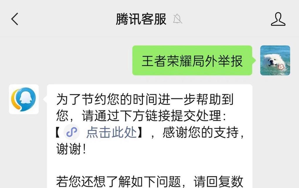 遇到占用分路情况如何在王者荣耀中举报？  第1张