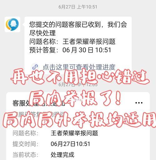 遇到占用分路情况如何在王者荣耀中举报？  第3张