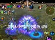 魔域宠物技能获取与提升指南？  第2张